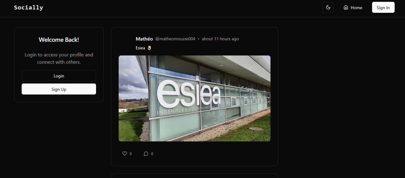 Miniature Réseau social